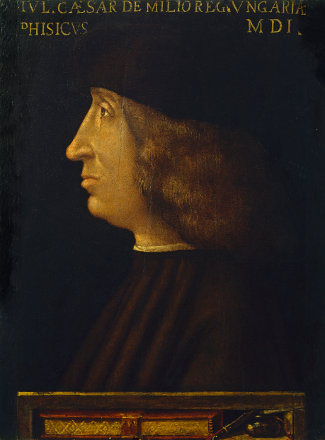 Doctor Cesare de Milio, 1501 (Lombard School, possibly Bernardino de Conti) (ca. 1470-1523) Pinacoteca Malaspina, Musei Civici dei Pavia